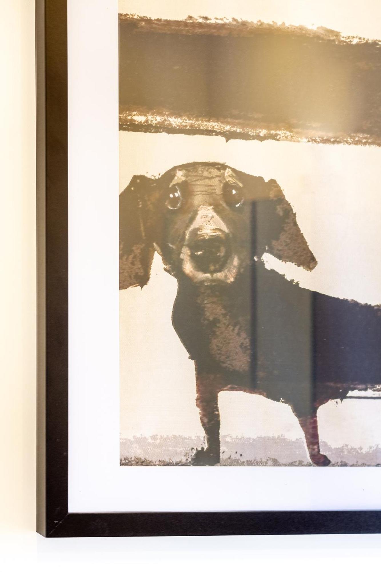 Central City Charm: Pet-Friendly Studio Christchurch Dış mekan fotoğraf