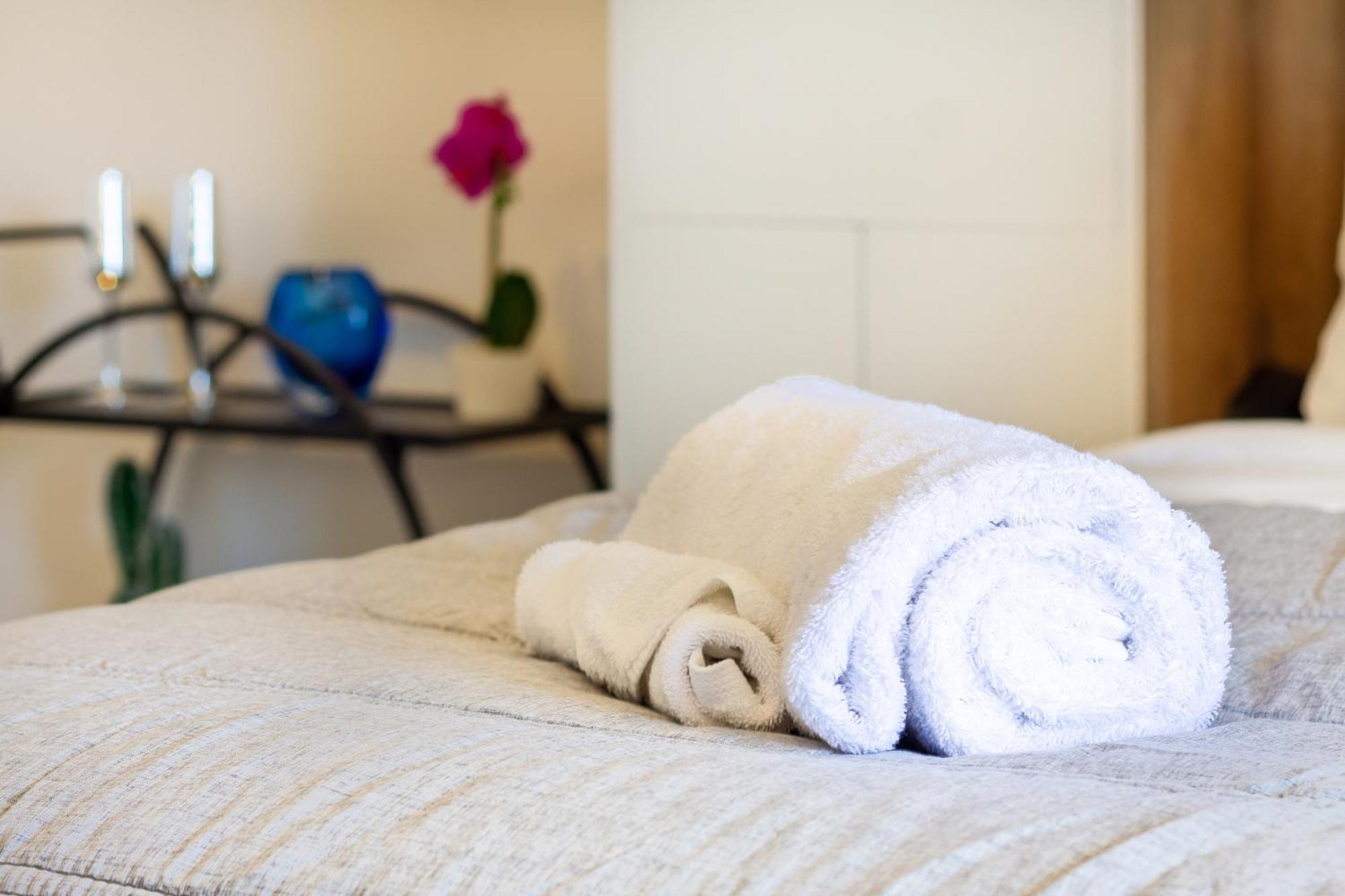 Central City Charm: Pet-Friendly Studio Christchurch Dış mekan fotoğraf