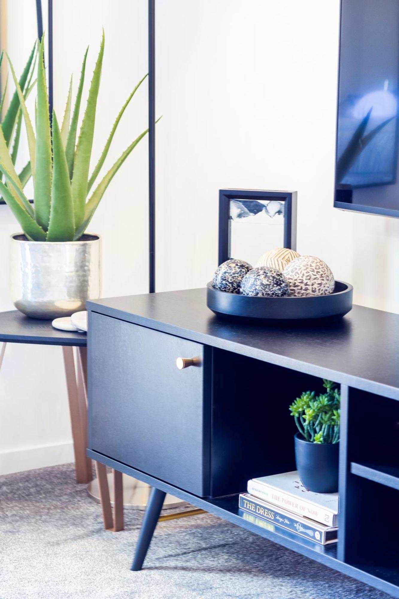 Central City Charm: Pet-Friendly Studio Christchurch Dış mekan fotoğraf